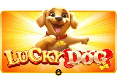 cv666 apk